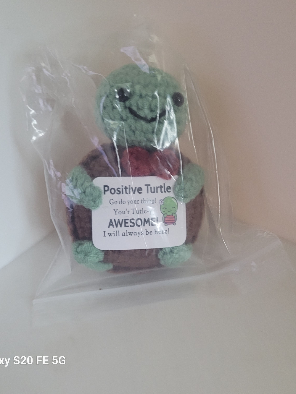 Positive Motivational Turtle
